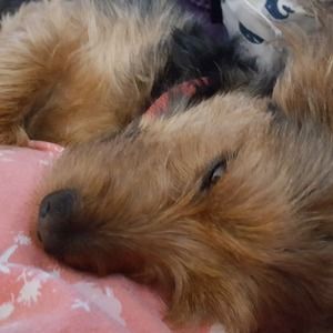 Meet your Posher, Denise